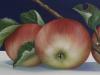 Mele Rosse cm 50x40 olio su tela