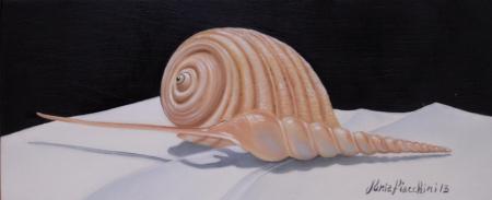 Coquilles cm 13x31 oil on board