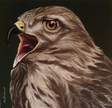 falco cm 50x50 oil on canvas